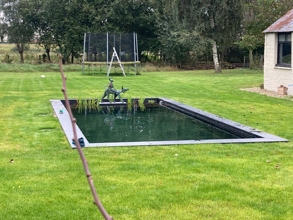 Tuinen verhaeghen ontwerp plaatsing zwemvijver